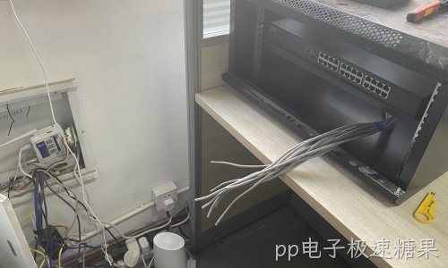 徐州某公司网络与系统部署