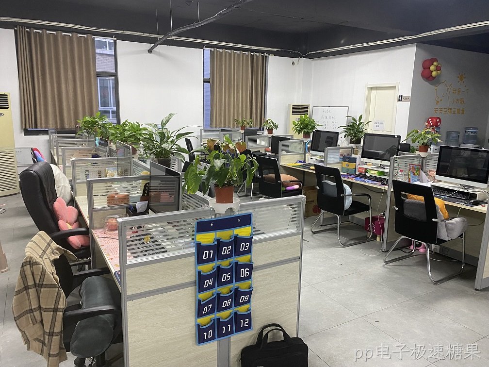 徐州某公司网络与系统部署