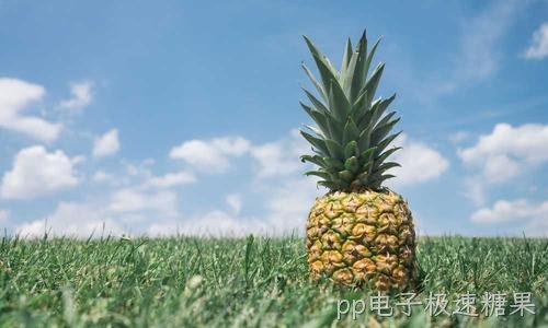 酒店客房与公共区无线覆盖方案