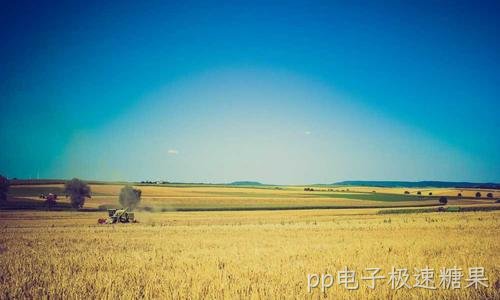 中小企业进销存与ERP上线部署方案