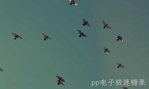 Windows域环境搭建与集中管理方案