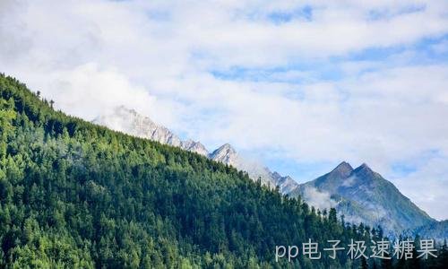 办公打印与文件共享统一管理方案