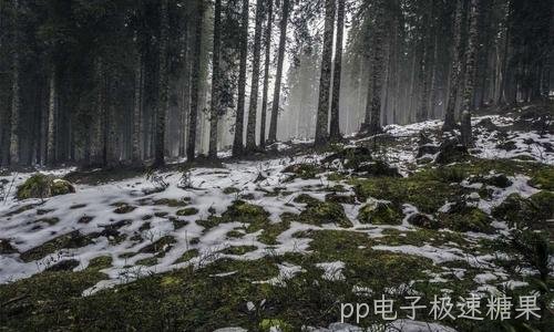 弱电与信息化系统集成方案