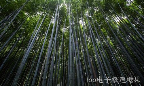 企业桌面运维外包托管方案