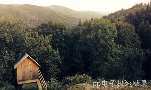 服务器双机热备与业务连续性方案
