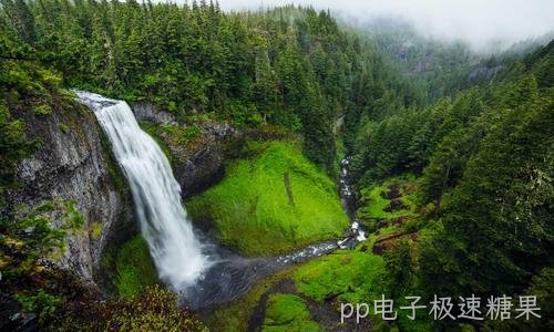 中小企业官网建设一站式落地方案