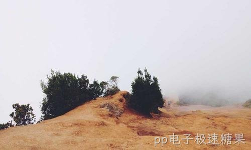 企业官网内容代运营托管方案