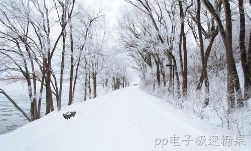 官网小程序公众号全渠道整合方案