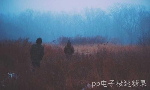 徐州某纺织企业外贸英文站建设案例