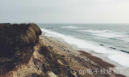 完成某产业园综合布线项目 如期交付验收