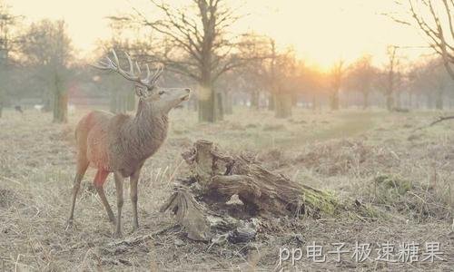 新增小型机房建设服务 助本地企业规范机房