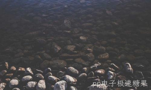 与安防及网络品牌深化合作 优选优质设备