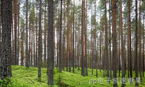 组织年终IT设备大检查 助企业稳过岁末