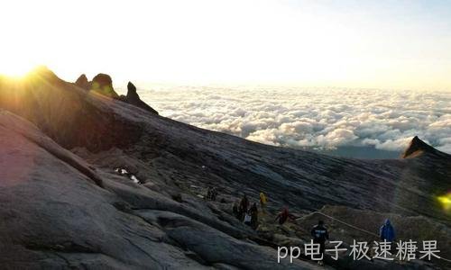 交付定制化管理小软件 贴合企业实际流程