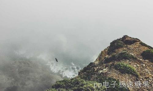 发布上门服务时效与操作规范承诺