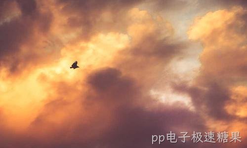 入汛前开展防涝检查 提前排除机房隐患