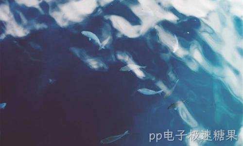 与本地职校共建实训基地 培养IT人才