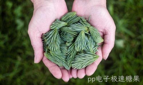 2026年中小企业网络安全威胁新态势
