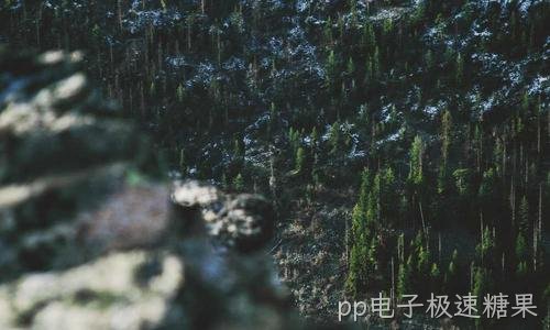 从模拟到AI:安防监控的技术演进之路