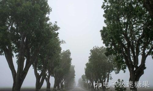 5G专网走进企业:哪些场景真正用得上