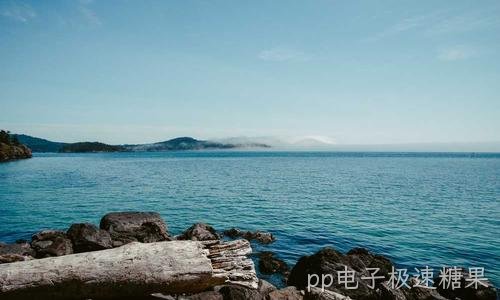企业官网别踩坑:备案与等保合规要点