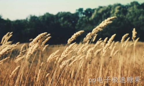 AIoT走进车间与门店:感知加智能