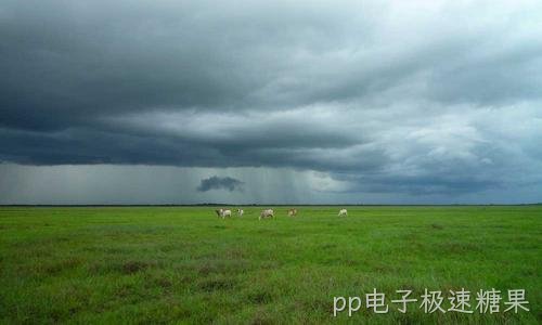 机房越用越热:精密空调与气流组织
