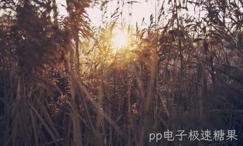 老系统不敢动:业务迁移的稳妥打法