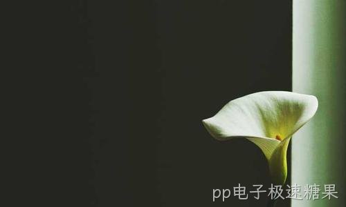 C盘空间告急?系统盘瘦身清理五招