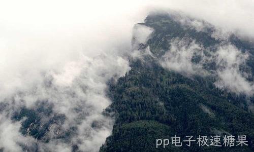 共享文件夹提示无权限 打不开怎么办