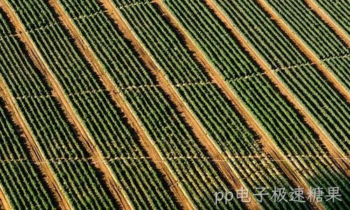 选对无线信道 甩开邻居WiFi的干扰