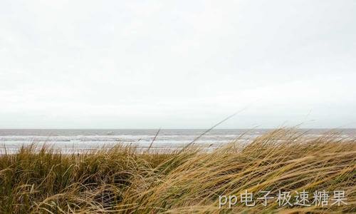 Windows防火墙放行端口与程序 一步步来