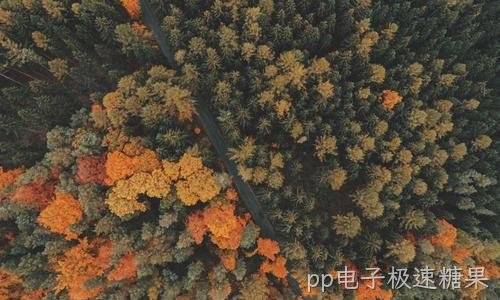 Windows 系统下常用 cmd 命令